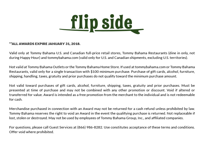 Turtle Palm Deluxe Backpack Beach Chair