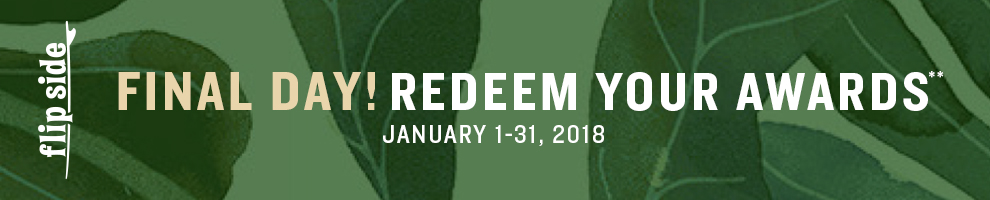 Turtle Palm Deluxe Backpack Beach Chair