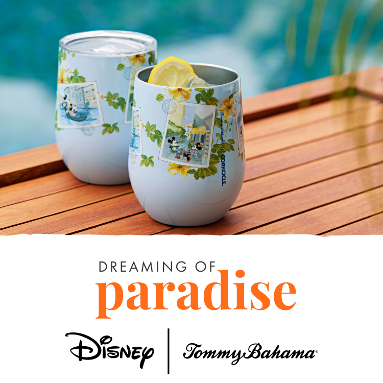 Dreaming of Paradise - Disney & TB