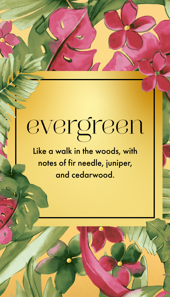 Evergreen Scent
