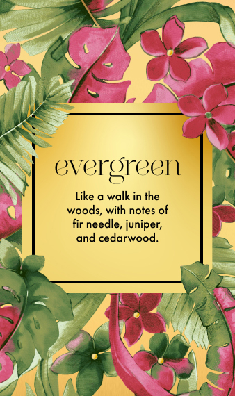 Evergreen Scent