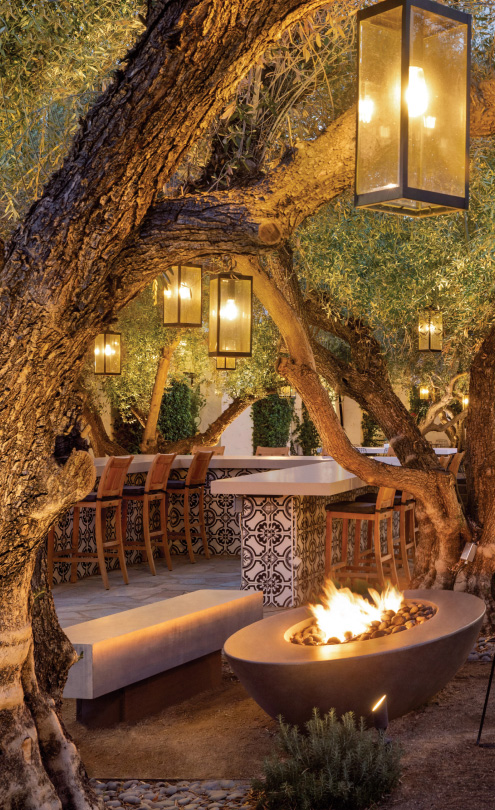 Outdoor Fireplace in the Olive Grove