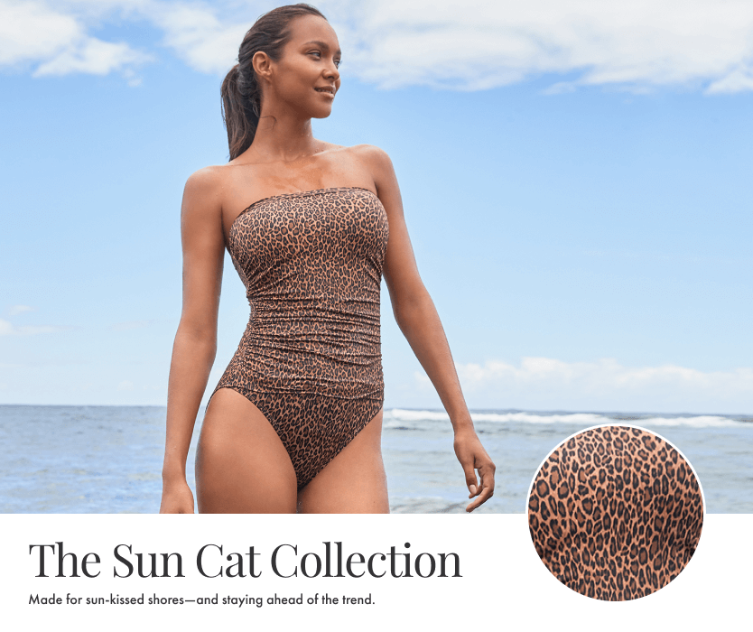 The Sun Cat Collection